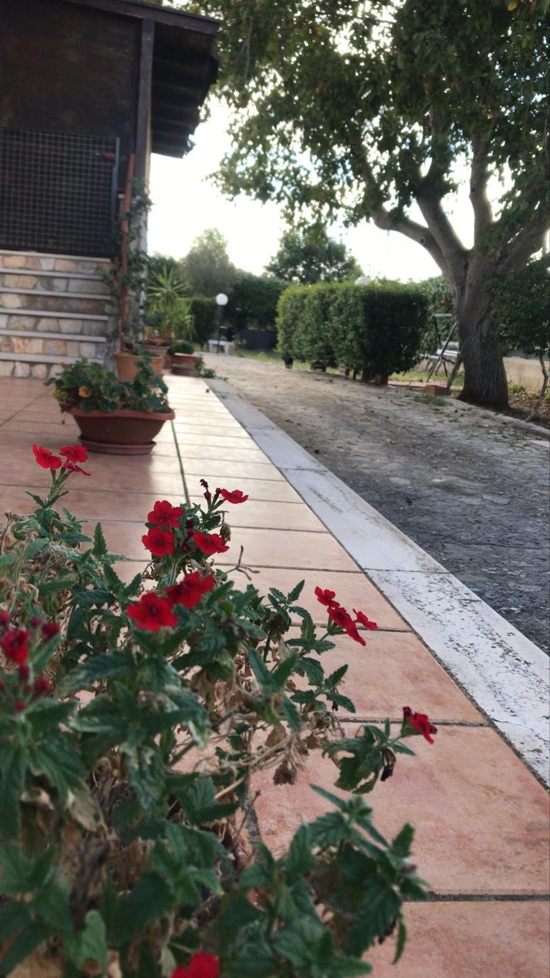 Villa Marida 乔亚德尔科尔 外观 照片